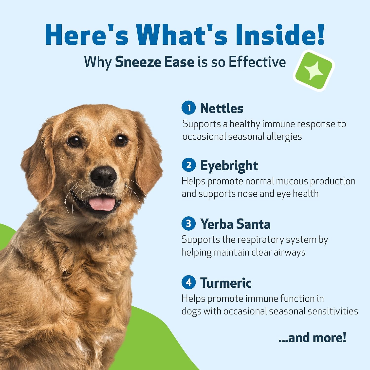 Pet Wellbeing Sneeze Ease for Dogs - Occasional Sneezing and Seasonal Allergy Relief - Vet-Formulated Herbal Supplement 2 oz (59 ml)