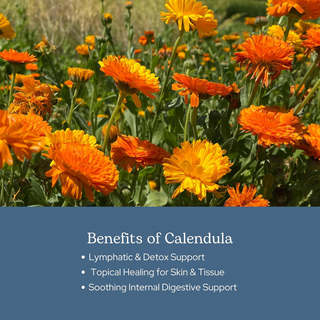 Eclectic Herb - Freeze-Dried Calendula Capsules - 90 Capsules (250 mg)