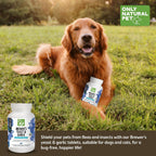 Only Natural Pet Masticables de Levadura de Cerveza y Ajo - 300 Comprimidos (3 Paquetes)