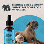 Detox Blend - Suplemento Hepático para Perros y Gatos, Fórmula Herbal Orgánica, Recomendado por Veterinarios, 1 oz