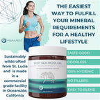 Manafest Sea Moss Gel - Gel de Musgo Marino Orgánico con Saúco, Bardana y Fucus - 454g