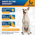 Probióticos Líquidos para Perros y Gatos – 6 Mil Millones de UFC – Con Enzimas Digestivas – 2 oz