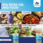 BioVitalica Gel de Musgo de Mar Irlandés Orgánico 340g - Seamoss Silvestre con Iodo, Bladderwrack y Bardana