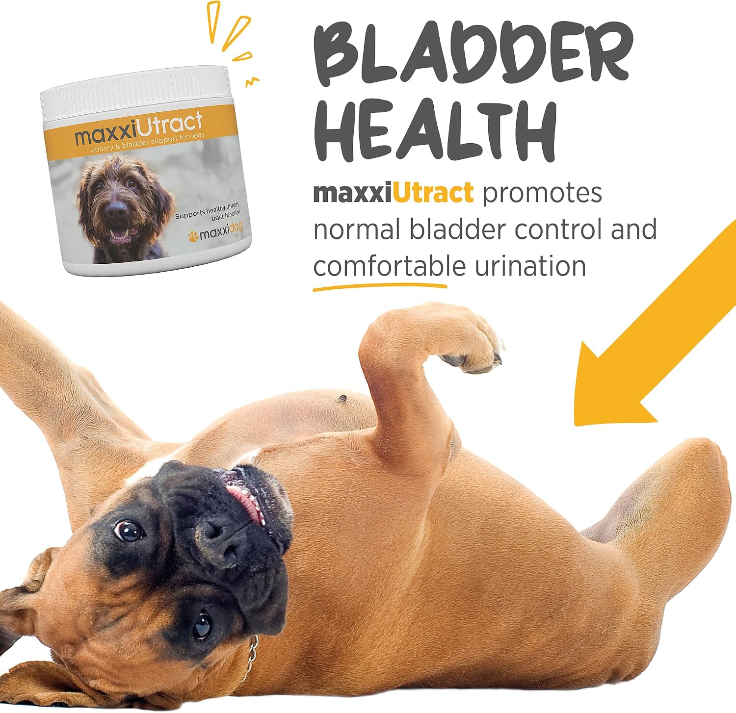 maxxiUtract Apoyo Urinario y Vesical para Perros - Suplemento Natural en Polvo con D-Manosa y Arándano - 150 g