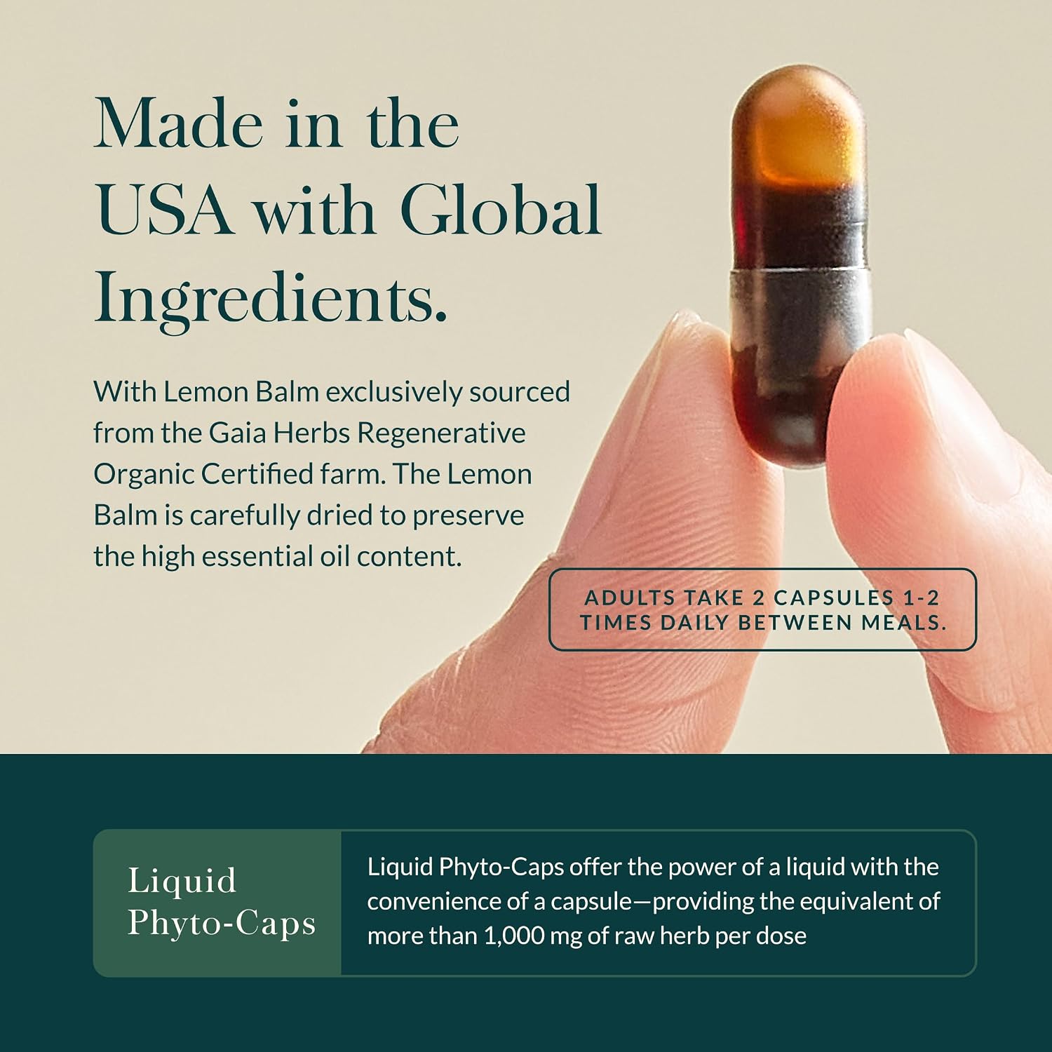 Gaia Herbs Nootropic Focus - Suplemento de concentración con Azafrán, Melisa y Ginkgo - 40 Cápsulas Líquidas
