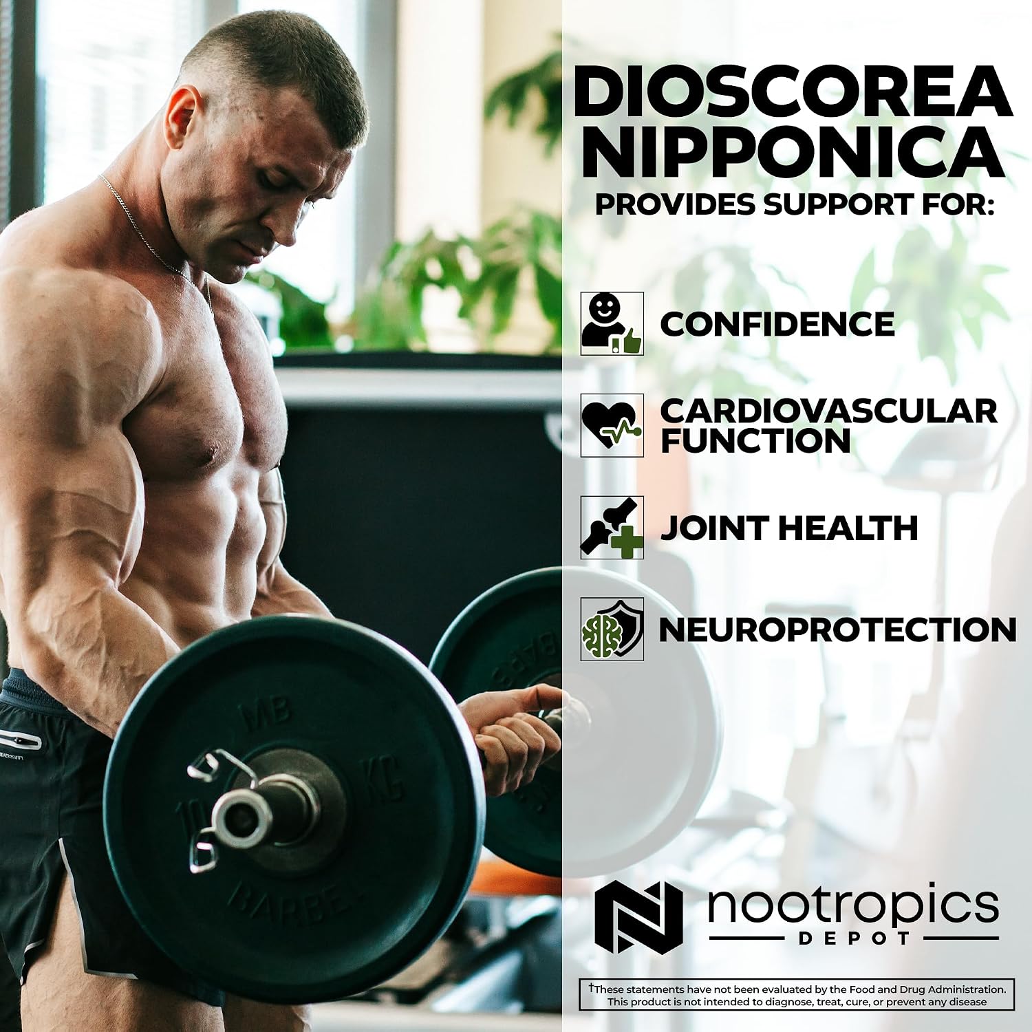 Nootropics Depot Cápsulas de Dioscorea nipponica | 400mg | 40% Protodioscina | Ñame Salvaje | 180 Unidades