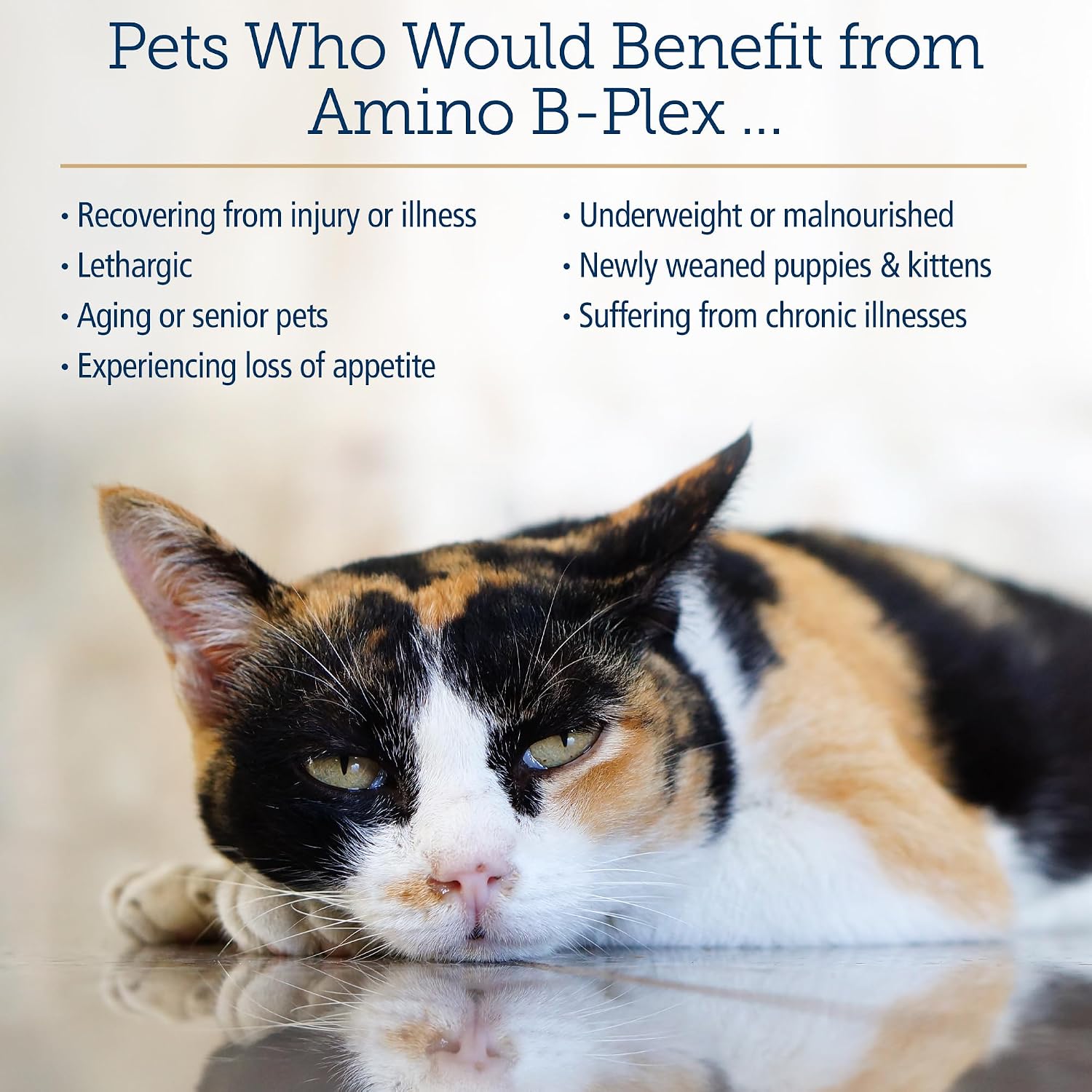 Rx Vitamins Amino B Plex Suplemento Líquido para Perros y Gatos - Complejo de Vitamina B con Aminoácidos - 60 ml