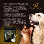 Lexelium Suplemento de Lactancia y Vitaminas para Perros y Gatos - 200g