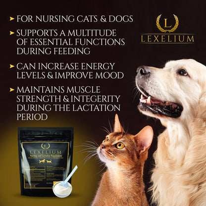 Lexelium Suplemento de Lactancia y Vitaminas para Perros y Gatos - 200g – Image 3