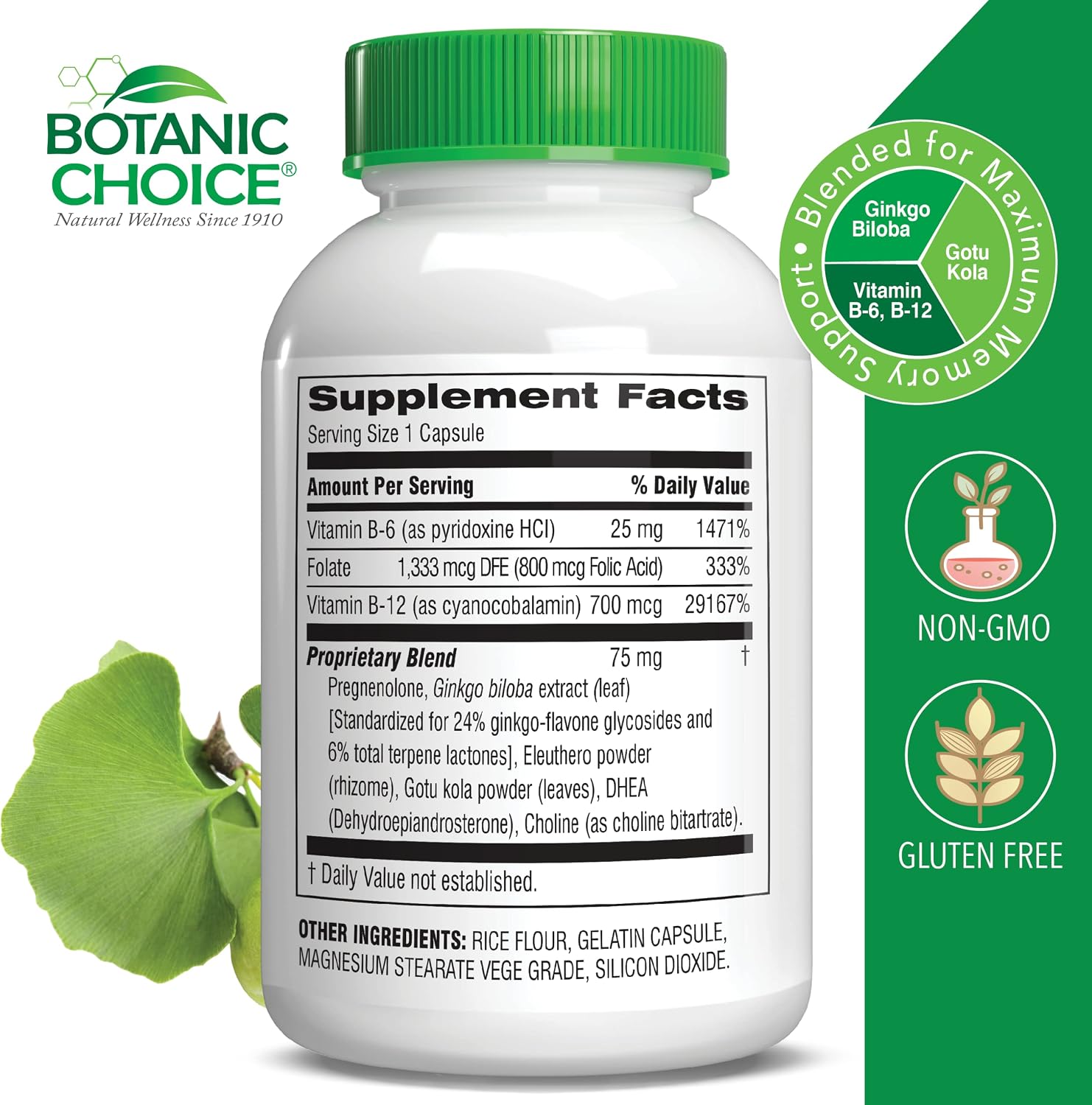Botanic Choice Advanced Memory Complex, 60 cápsulas