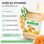 Gel de Musgo Marino Irlandés Salvaje - EverSmith Organics - Sin Sabor (1 Frasco)