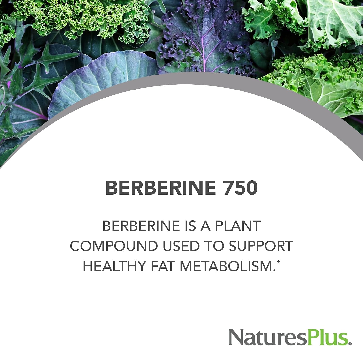 NaturesPlus PRO Berberina 750 mg - 60 Cápsulas - Apoyo al Metabolismo - Vegano, Sin Gluten