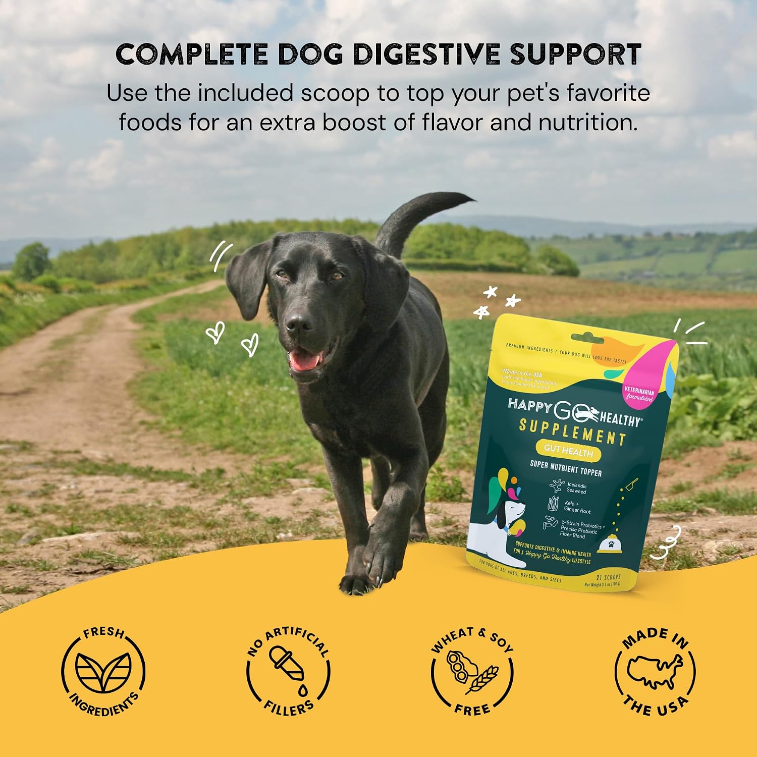 Happy Go Healthy Suplemento de Probióticos para la Salud Intestinal del Perro | Apoya la Digestión y el Sistema Inmunitario | Ingredientes Naturales | 21 dosis