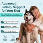 Doggie Herbs Apoyo Renal Orgánico para Perros Mayores - Polvo de Rehmannia y Cordyceps - Suplemento para la Salud Renal y de la Vejiga - Grado Humano