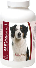 Healthy Breeds Masticables de Arándano para Perros - Apoyo Urinario - 75 unidades