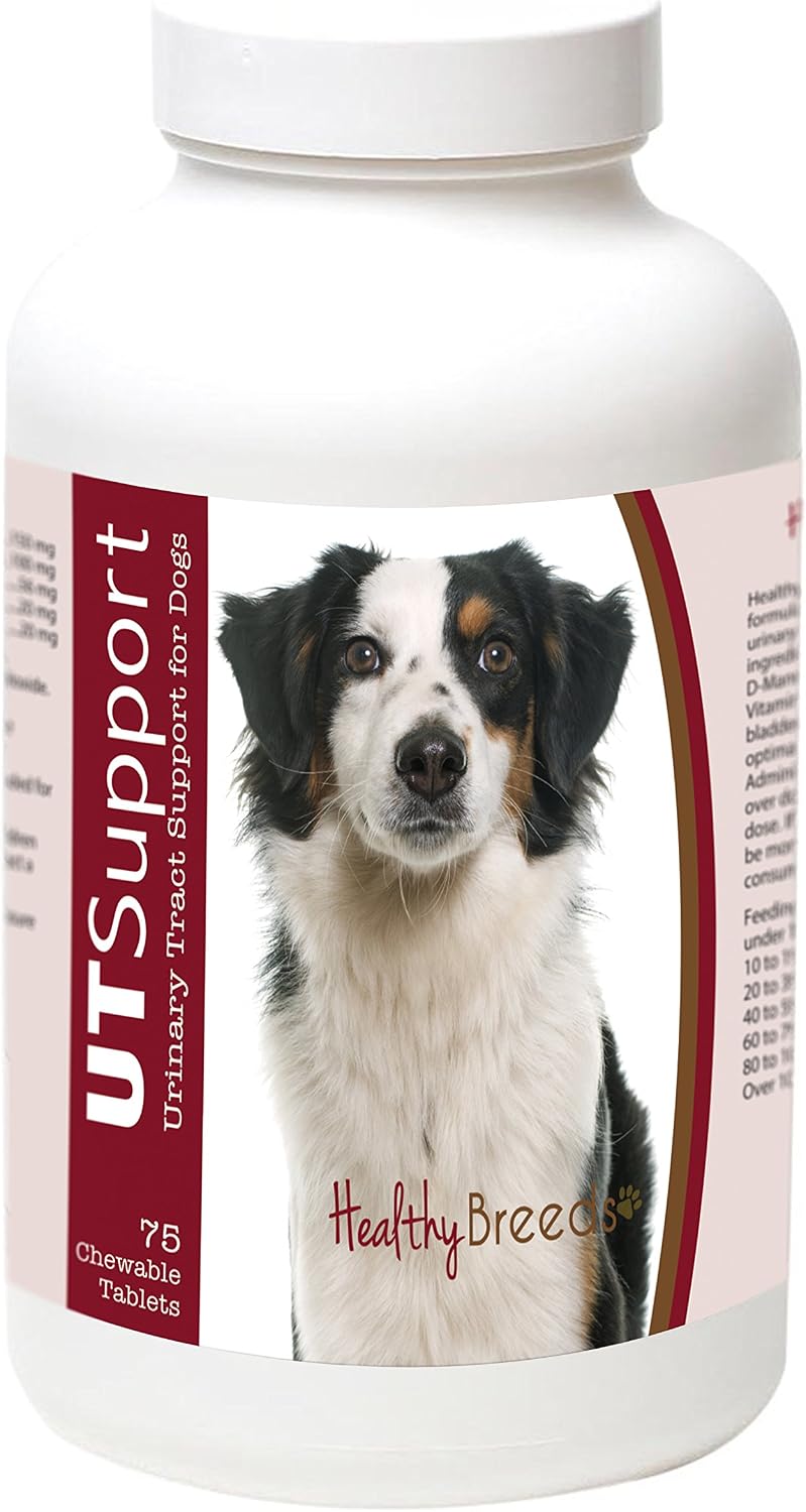 Healthy Breeds Masticables de Arándano para Perros - Apoyo Urinario - 75 unidades