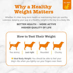 Zesty Paws Weight Management Bites para Perros - 90 masticables