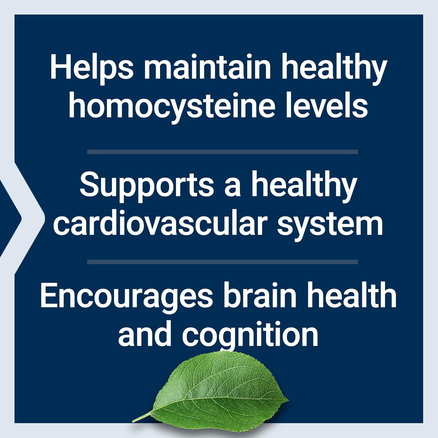 Life Extension Homocysteine Resist Cápsulas Vegetarianas, 60 unidades