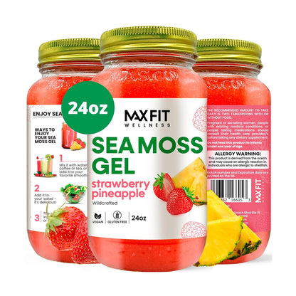 MAX FIT Gel de Musgo de Mar con Cúrcuma, Jengibre y Limón (24 oz) - Silvestre de Santa Lucía | 92 Vitaminas y Minerales | Puro y No-GMO