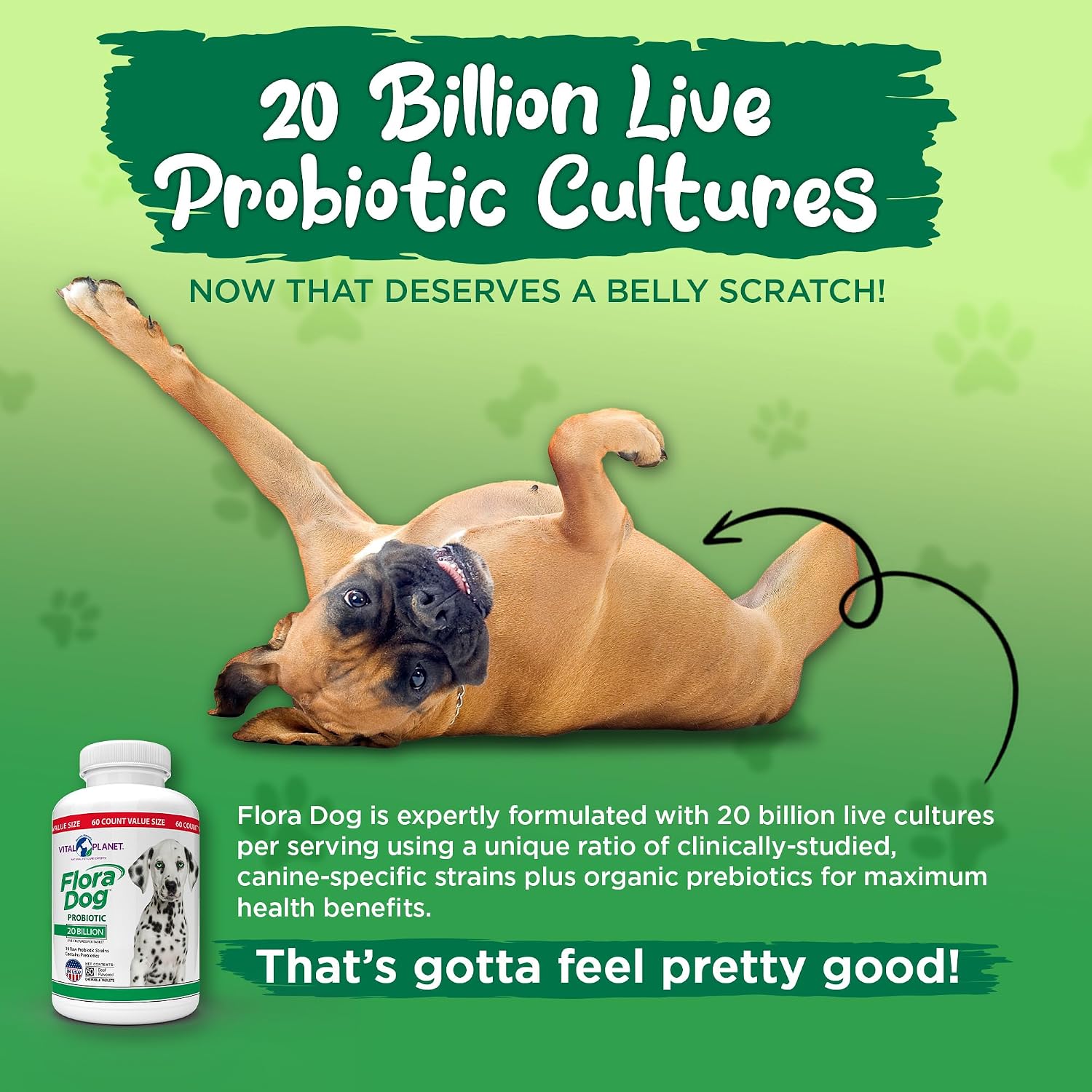 Vital Planet Flora Dog Probióticos Masticables para Perros, 20 Mil Millones UFC, 10 Cepas, 60 Tabletas Sabor Carne