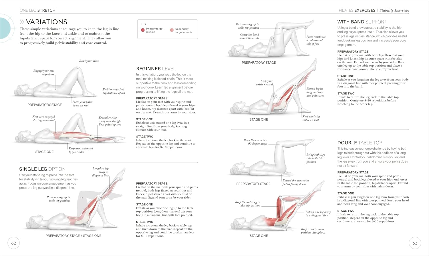 Science of Pilates: Comprende la Anatomía y Fisiología para Perfeccionar tu Práctica