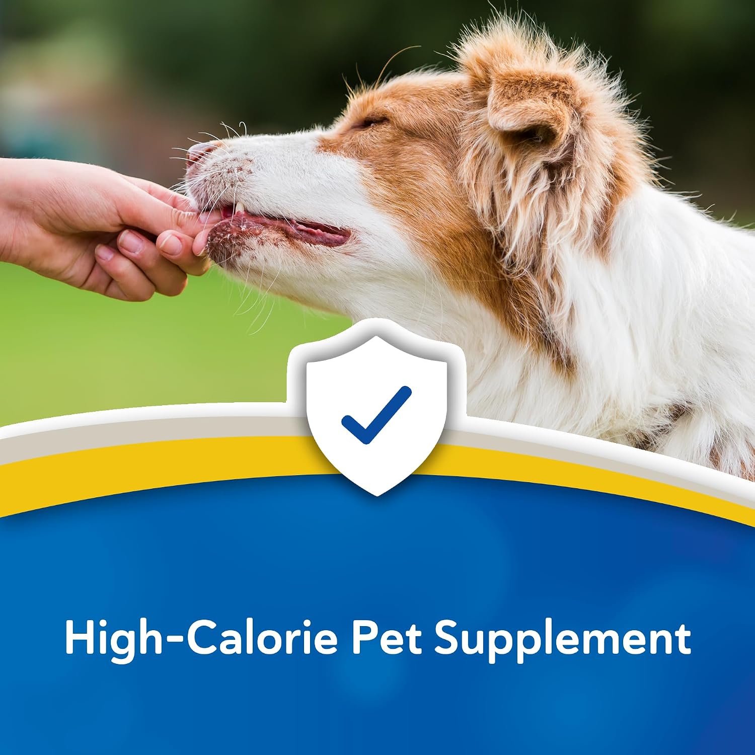Forti Cal Soft Chews - Suplemento energético de alto contenido calórico para perros y gatos, 120 unidades