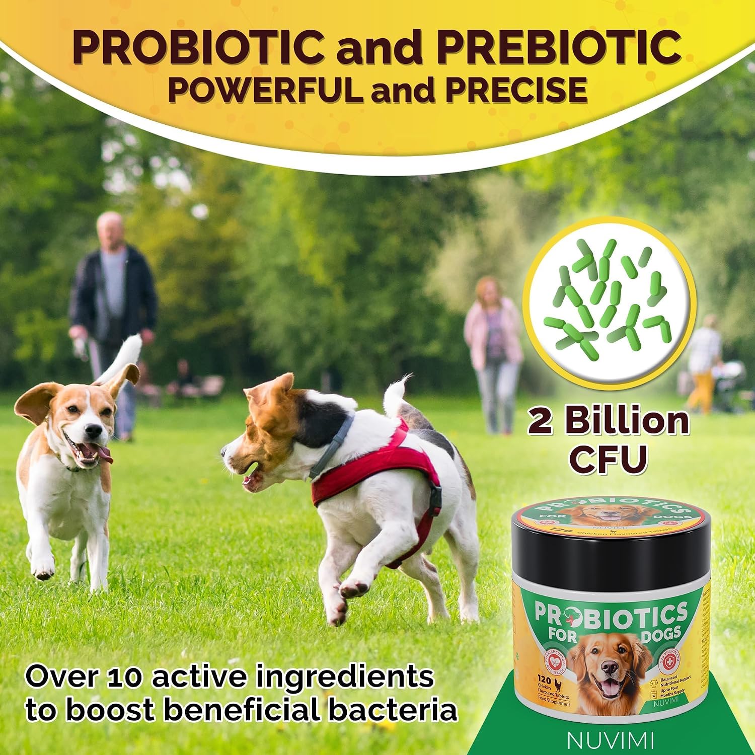 NUVIMI Probióticos para Perros con Prebióticos - 120 Comprimidos Sabor Pollo