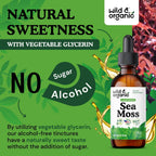 Wild & Organic Gotas Líquidas de Musgo Marino y Bladderwrack - Tintura Multimineral - Vegana, Sin Azúcar ni Alcohol - 60 ml
