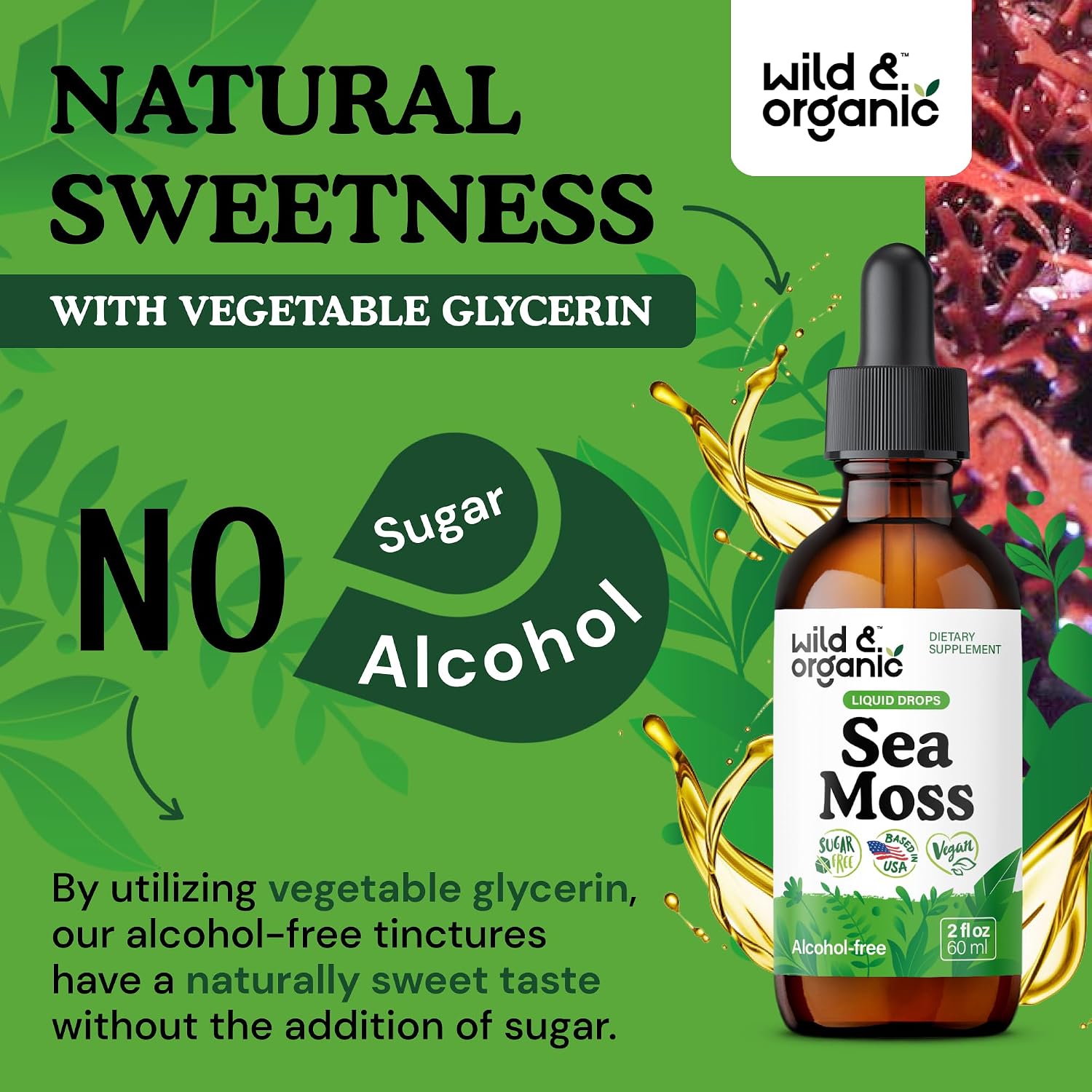 Wild & Organic Gotas Líquidas de Musgo Marino y Bladderwrack - Tintura Multimineral - Vegana, Sin Azúcar ni Alcohol - 60 ml