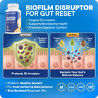 BioMatrix Microb-Defend: Disruptor de Biopelículas con Aceite de Orégano, Tomillo y Clavo (90 Cápsulas)