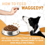 Waggedy Omega Max Chews para perros con aceite de salmón y linaza, 60 unidades.