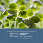 Cápsulas de Brotes de Brócoli Ecológicos - 270 mg (100 cápsulas)