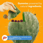 Toast! Before You Drink Gummies – Apoyo Hepático y Recuperación – 10 Paquetes
