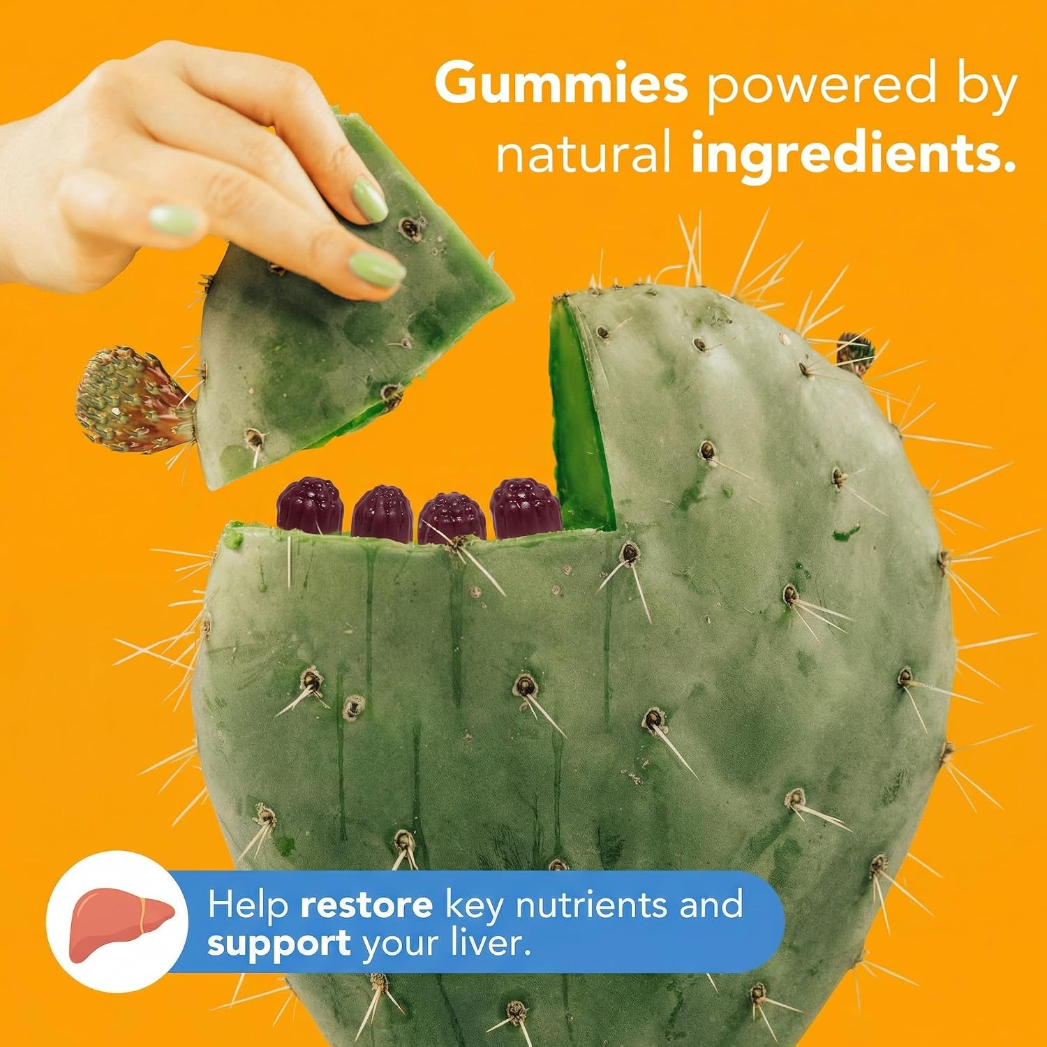 Toast! Before You Drink Gummies – Apoyo Hepático y Recuperación – 10 Paquetes