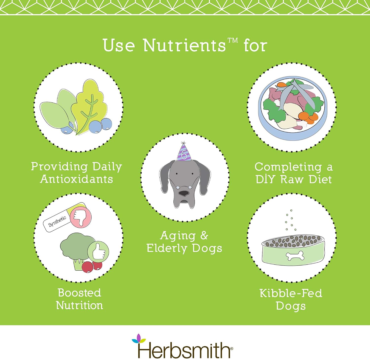 Herbsmith Nutrients Superfood Multivitamínico para Perros con Superfoods - 500 g