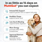 Probióticos 3 en 1 para Perros con Postbióticos - 135 Mil Millones de UFC - Polvo Digestivo Natural