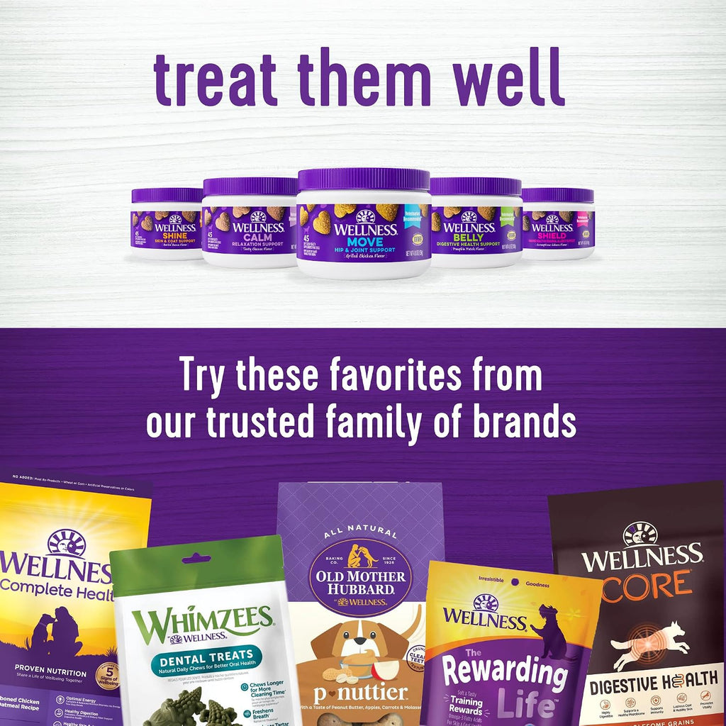 Wellness Soft Chews Sabor Salmón - Suplemento Inmune y Alergias para Perros, 45 unidades