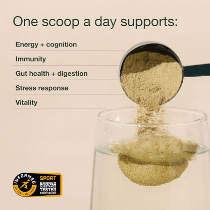 Nuzest Good Green Vitality – Polvo de – Contribuir a la protección de las células frente al daño oxidativo (con – Image 4