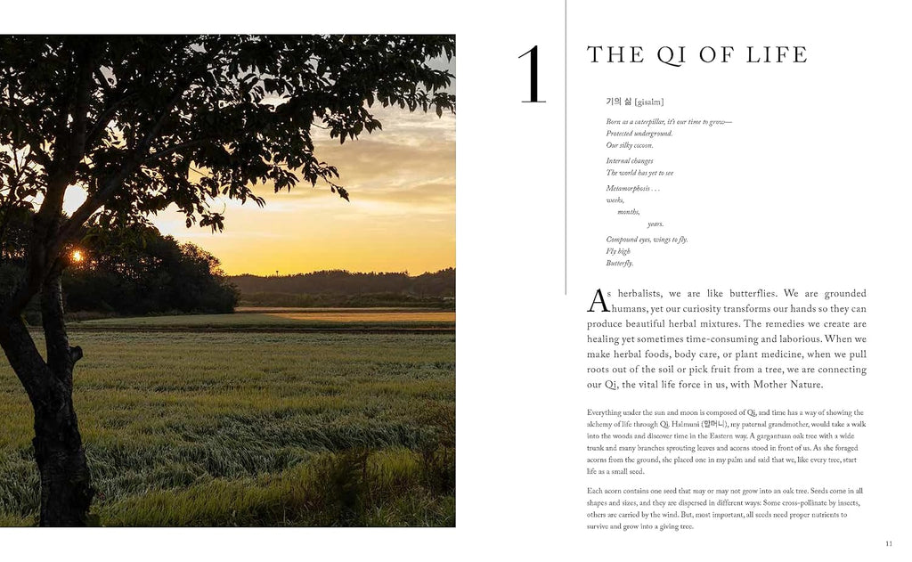 The Korean Herbal Apothecary: Ancient Wisdom for Wellness and Balance in the Modern World