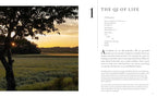 The Korean Herbal Apothecary: Ancient Wisdom for Wellness and Balance in the Modern World