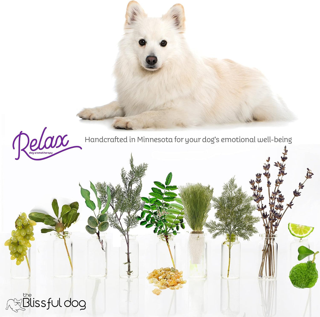 The Blissful Dog American Eskimo Relax Dog Aromatherapy Spray – Spray de aromaterapia calmante para perros con ansiedad