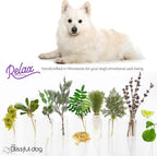 The Blissful Dog American Eskimo Relax Dog Aromatherapy Spray – Spray de aromaterapia calmante para perros con ansiedad