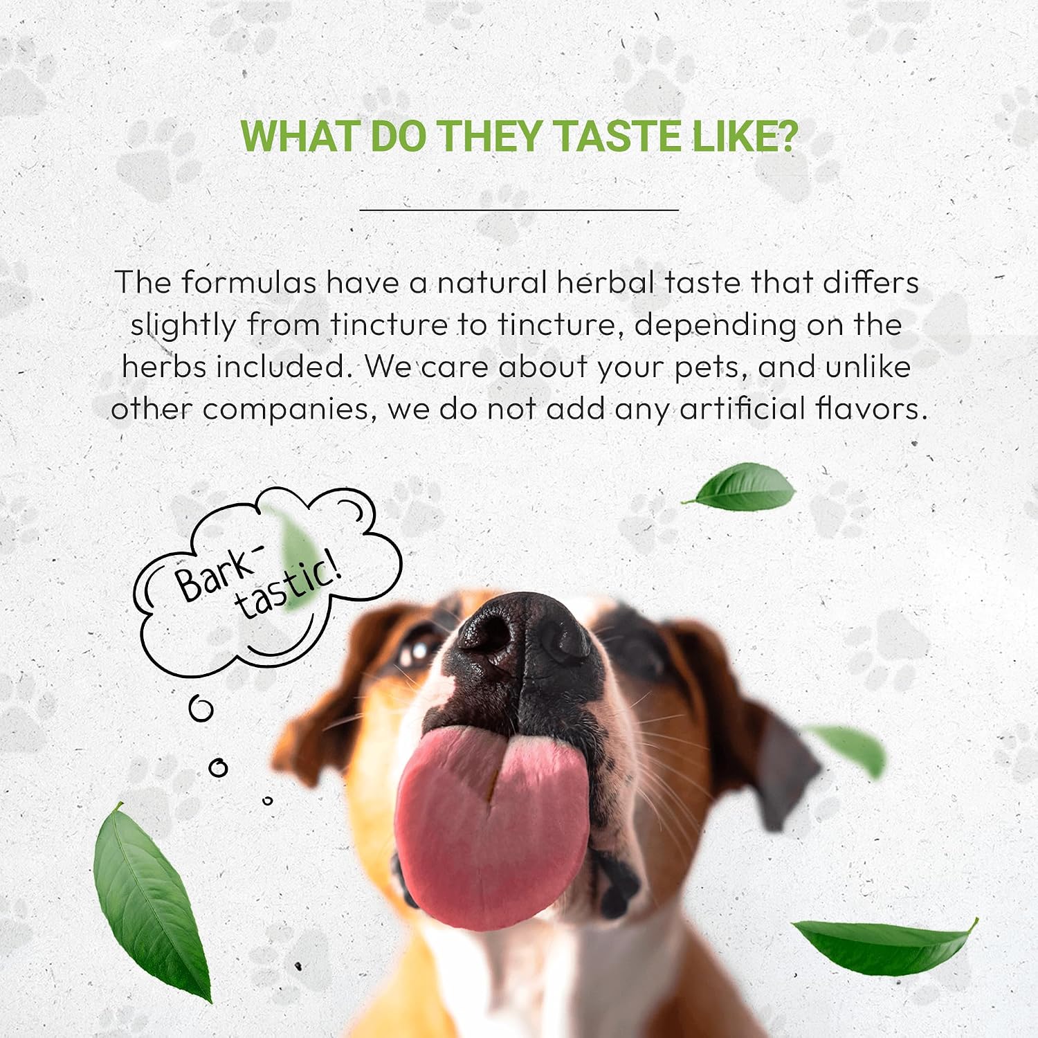 Wolf's Anxiety | Suplemento herbal natural para perros | Apoyo para el estrés y la ansiedad | Extracto sin alcohol de manzanilla, melisa, lavanda, tilo e hinojo | 60 ml