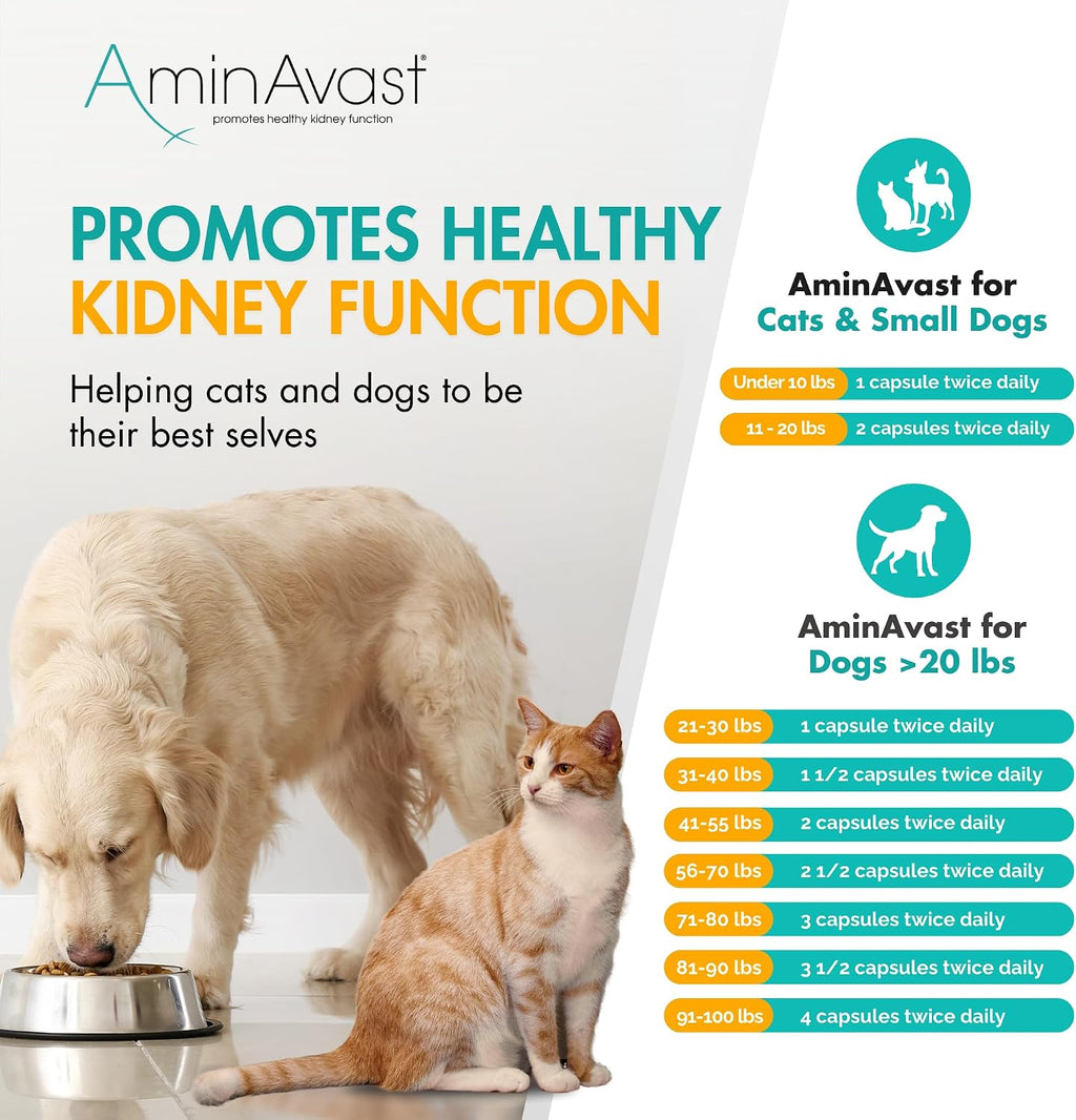 AminAvast Kidney Supplement for Dogs - Supports Natural Kidney Function - 1000mg, 60 Capsules