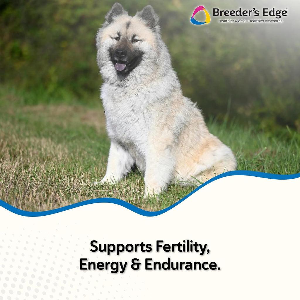 Breeder's Edge Oxy Stud Bocadillos de Carne - 30 unidades
