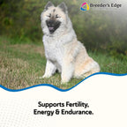 Breeder's Edge Oxy Stud Bocadillos de Carne - 30 unidades