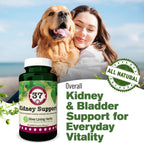 Kidney Support for Dogs – Canine Herbal Supplement for Kidneys and Bladder – 90 Capsules