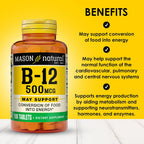 MASON NATURAL Vitamina B12 500 mcg con Calcio, 100 Comprimidos (Pack de 3)