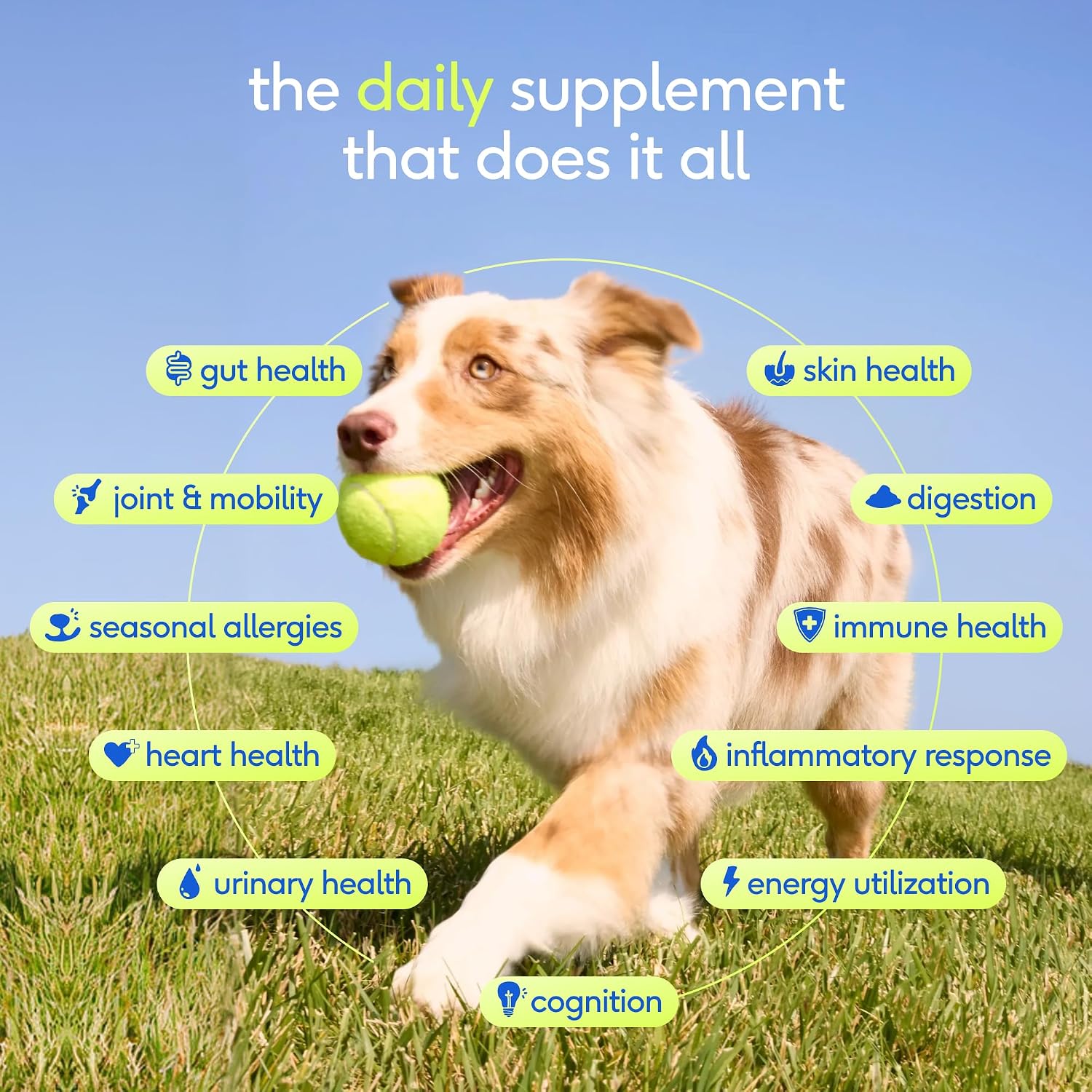 Native Pet Multivitamínico Diario para Perros - 11 en 1 en Polvo - Apoyo Completo para la Salud - 60 porciones