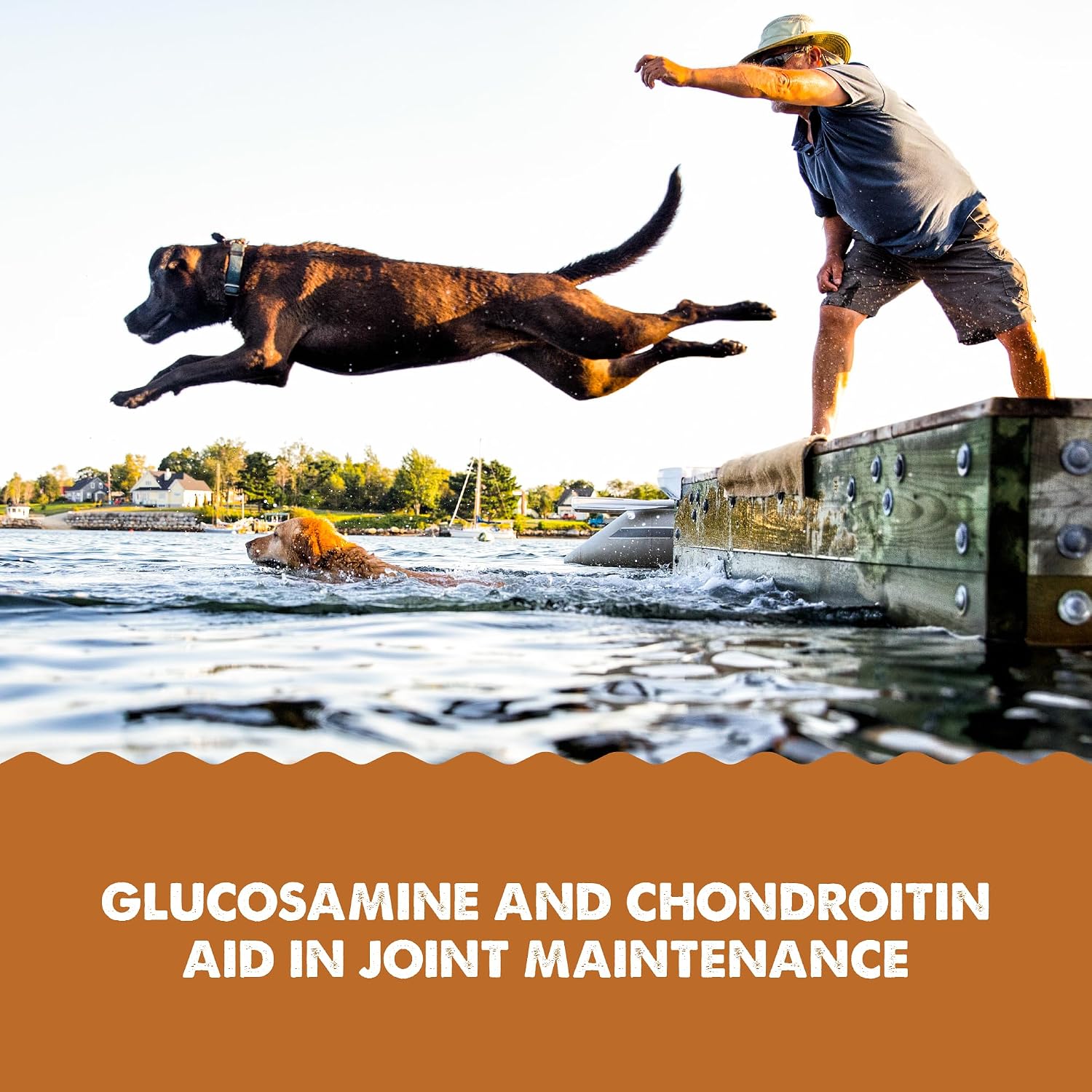 GRIZZLY PET PRODUCTS Joint Aid Liquid - Suplemento Articular para Perros y Gatos - 473 ml